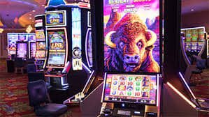 1010.com bet